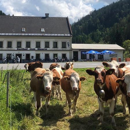Gasthof Zum Maurer Otel Mariazell Dış mekan fotoğraf